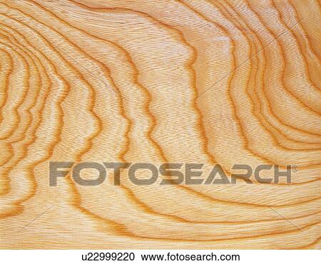 Stock Image - Photography of wood grain, Close Up. Fotosearch