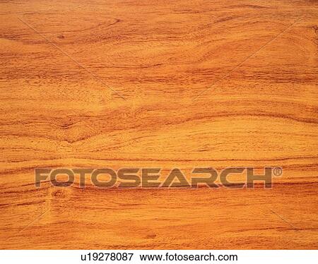 Stock Photo - Photography of wood grain, Close Up. Fotosearch