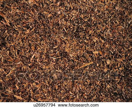 Picture - Photography of wood waste, Close Up. Fotosearch