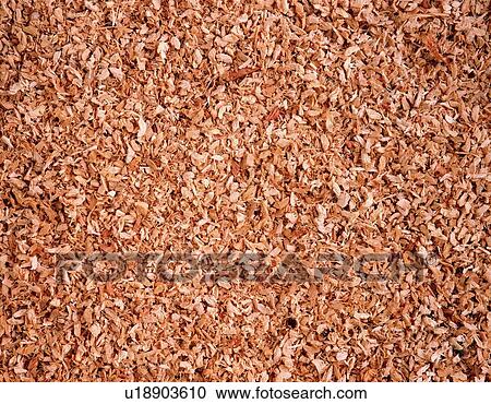 Photography of wood waste, Close Up View Large Photo Image Stock Image - Photography of wood waste, Close Up. Fotosearch