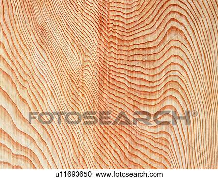 Photography of zelkova wood grain, Close Up View Large Photo Image Stock Image - Photography of zelkova wood grain, Close Up. Fotosearch