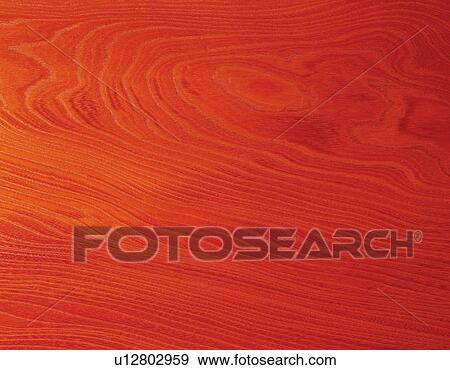 Stock Photo - Photography of zelkova wood grain, Close Up. Fotosearch