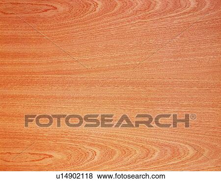 Stock Photo - Photography of zelkova wood grain, Close Up. Fotosearch