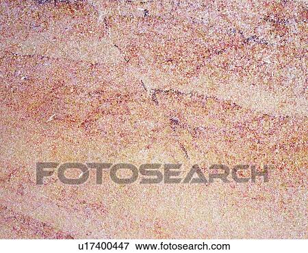 Stock Photo - Photography of limestone, Stone material, Close Up. Fotosearch