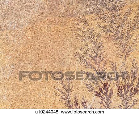 Photography of limestone, Stone material, Close Up View Large Photo Image Stock Photography - Photography of limestone, Stone material, Close Up. Fotosearch