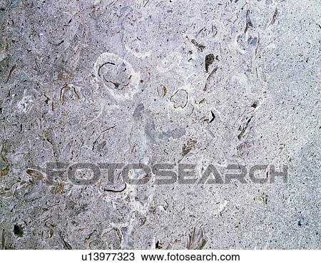 Stock Image - Photography of marble, Stone material, Close Up. Fotosearch