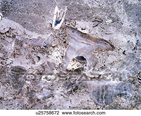 Photography of marble, Stone material, Close Up View Large Photo Image Stock Image - Photography of marble, Stone material, Close Up. Fotosearch