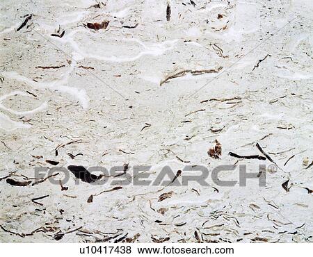 Stock Photo - Photography of marble, Stone material, Close Up. Fotosearch
