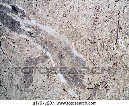 Stock Photo - Photography of marble, Stone material, Close Up. Fotosearch