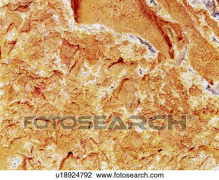 Photography of roscoelite, Stone material, Close Up View Large Photo Image Stock Image - Photography of roscoelite, Stone material, Close Up. Fotosearch