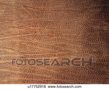 Bull Leather, Close Up View Large Photo Image Stock Photo - Bull Leather, Close Up. Fotosearch
