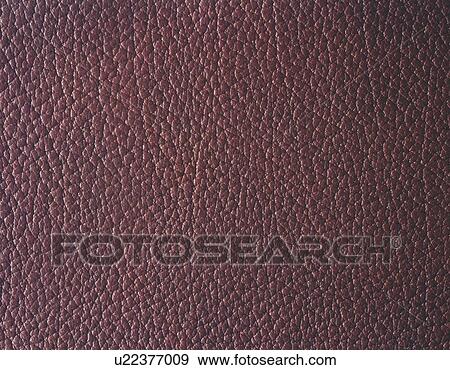 Bull Leather, Close Up View Large Photo Image Stock Photo - Bull Leather, Close Up. Fotosearch