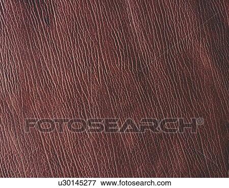 Stock Photo - Bull Leather, Close Up. Fotosearch