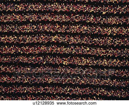 Stock Photography - Fabric, Close Up. Fotosearch