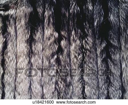 Fur, Close Up View Large Photo Image Stock Image - Fur, Close Up. Fotosearch