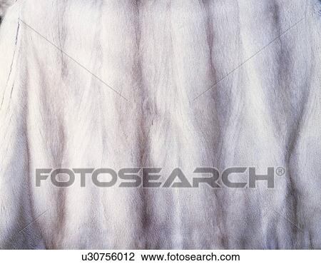 Stock Image - Fur, Close Up. Fotosearch