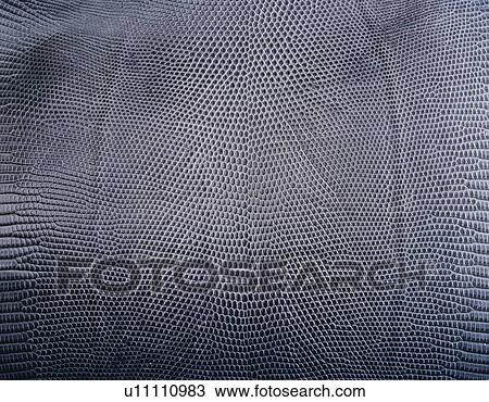 Lizard Leather, Close Up View Large Photo Image Stock Image - Lizard Leather, Close Up. Fotosearch