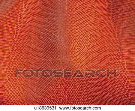 Lizard Leather, Close Up View Large Photo Image Stock Image - Lizard Leather, Close Up. Fotosearch