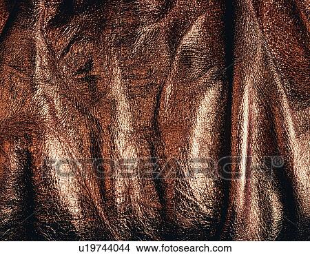 Picture - Pig Hide, Close Up. Fotosearch