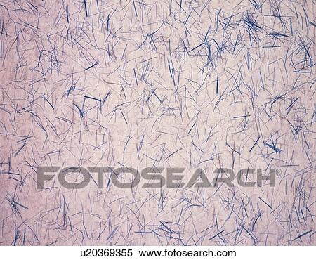 Stock Photography - Japanese paper colored purple, close up. Fotosearch