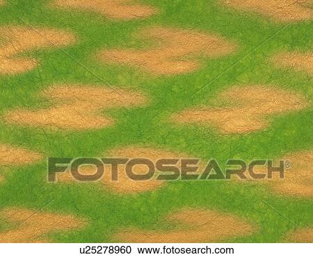 Stock Image - Japanese paper with patterns shaped like Z, close up. Fotosearch