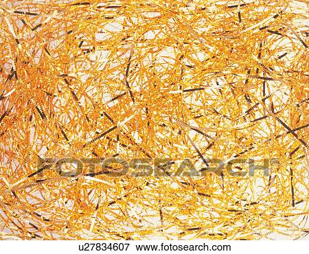 Stock Photo - Shredded orange papers. Fotosearch