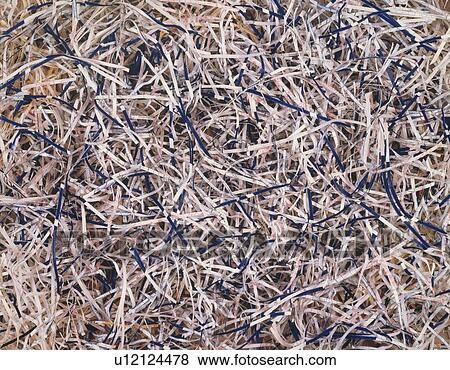 Stock Photo - Shredded papers. Fotosearch