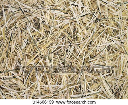 Shredded papers View Large Photo Image Stock Photo - Shredded papers. Fotosearch
