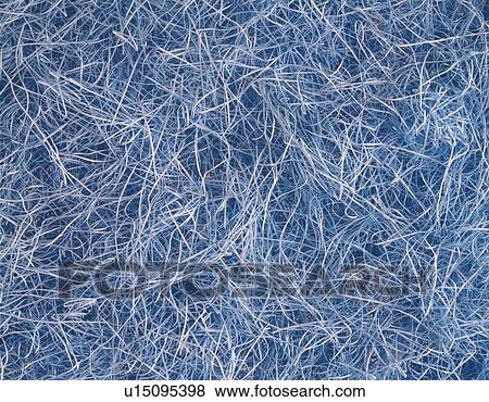 Stock Photo - Shredded papers. Fotosearch