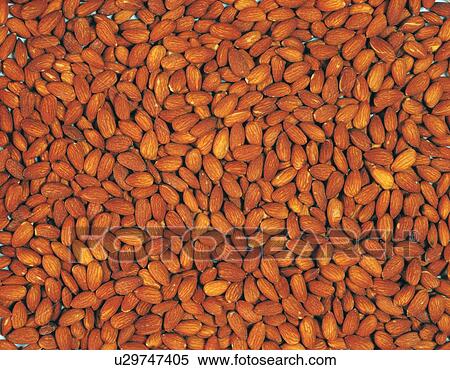 Mass of almond View Large Photo Image Stock Photography - Mass of almond. Fotosearch