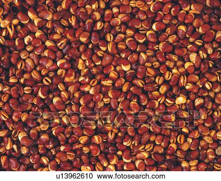 Mass of beans View Large Photo Image Stock Image - Mass of beans. Fotosearch