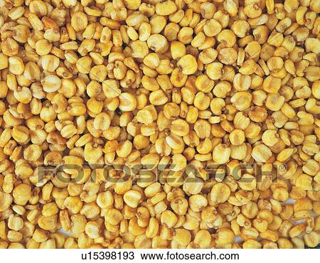 Stock Image - Mass of dried corns. Fotosearch