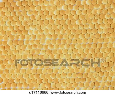 Stock Photograph - Mass of milk cookies. Fotosearch