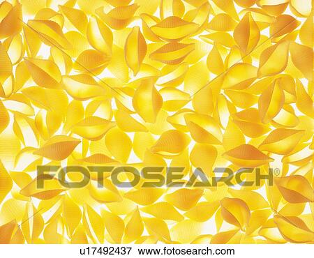 Mass of pasta, conchiglie View Large Photo Image Stock Photo - Mass of pasta, conchiglie. Fotosearch