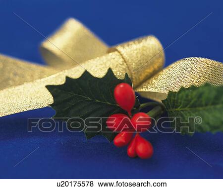 Stock Photo - Holly and Gold Ribbon, Close Up, Differential Focus, In Focus, Out Focus. Fotosearch