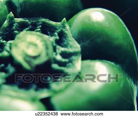 Stock Photo - Bell Pepper, Close Up, Differential Focus, In Focus, Out Focus. Fotosearch
