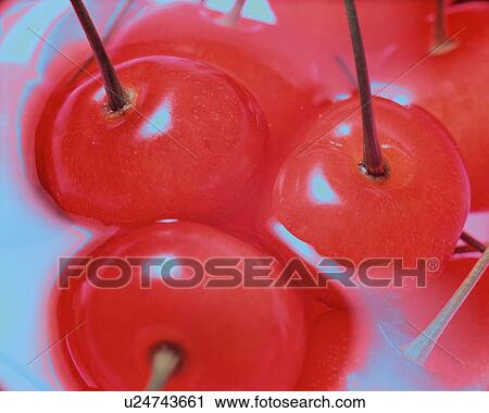 Stock Image - Cherry, Close Up, Differential Focus, In Focus, Out Focus. Fotosearch