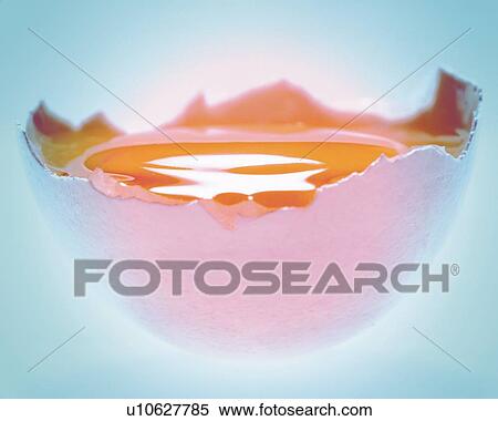 Egg in Half Eggshell, Side View, Close Up, Toned Image, Differential Focus, In Focus, Out Focus View Large Photo Image Stock Photography - Egg in Half Eggshell, Side View, Close Up, Toned Image, Differential Focus, In Focus, Out Focus. Fotosearch