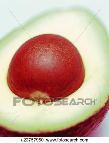 Half Cut Avocado, Close Up, Differential Focus, In Focus, Out Focus View Large Photo Image Stock Image - Half Cut Avocado, Close Up, Differential Focus, In Focus, Out Focus. Fotosearch