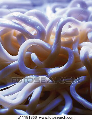 Stock Photograph - Japanese Wheat Noodle, Close Up, Differential Focus, In Focus, Out Focus. Fotosearch