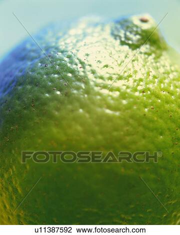 Stock Image - Lime, Close Up, Differential Focus, In Focus, Out Focus. Fotosearch