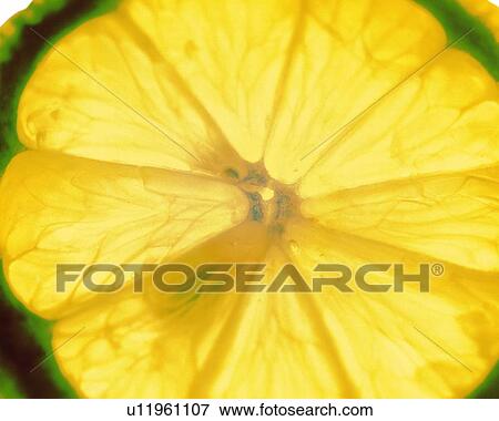 Lime, Close Up View Large Photo Image Stock Photo - Lime, Close Up. Fotosearch