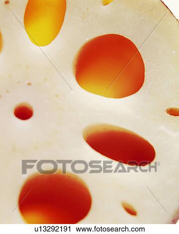 Lotus Root, Close Up View Large Photo Image Stock Image - Lotus Root, Close Up. Fotosearch