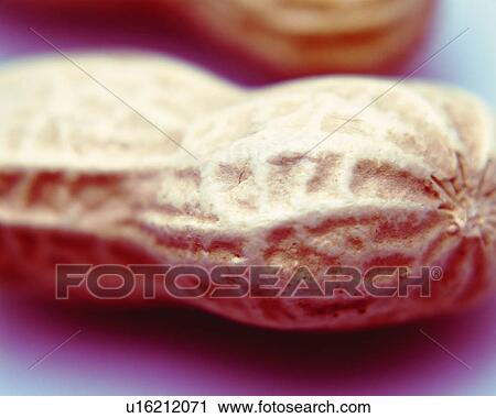 Stock Image - Peanut Shell, Close Up, Differential Focus, In Focus, Out Focus. Fotosearch
