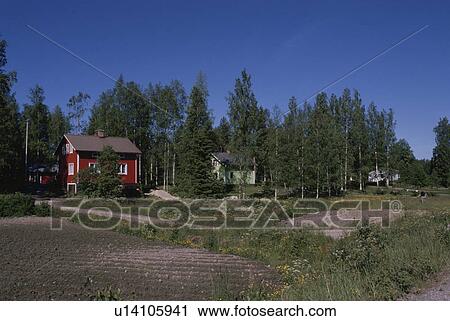 A House And Forest In Finland View Large Photo Image Stock Image - A House And Forest In Finland. Fotosearch