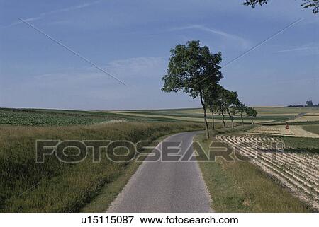 A Path And Rural Landscape In France View Large Photo Image Stock Photo - A Path And Rural Landscape In France. Fotosearch