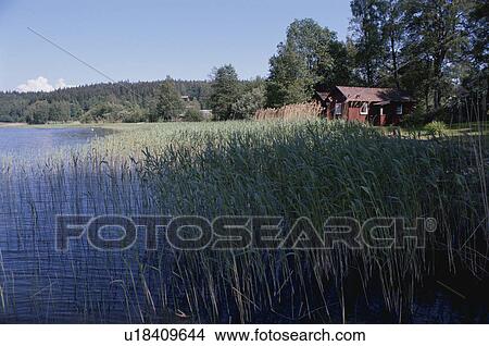 Picture - Lake. Fotosearch