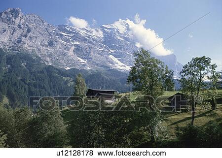 Scenery Of The Alps View Large Photo Image Stock Photo - Scenery Of The Alps. Fotosearch