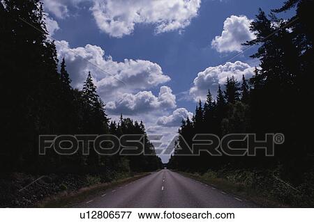 Woods And A Road View Large Photo Image Stock Photo - Woods And A Road. Fotosearch