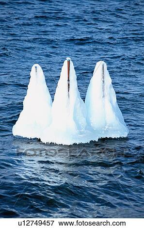Stock Photo - Ice Around Sticks In Water. Fotosearch